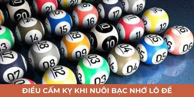 Điều cấm kỵ khi nuôi bạc nhớ lô đề