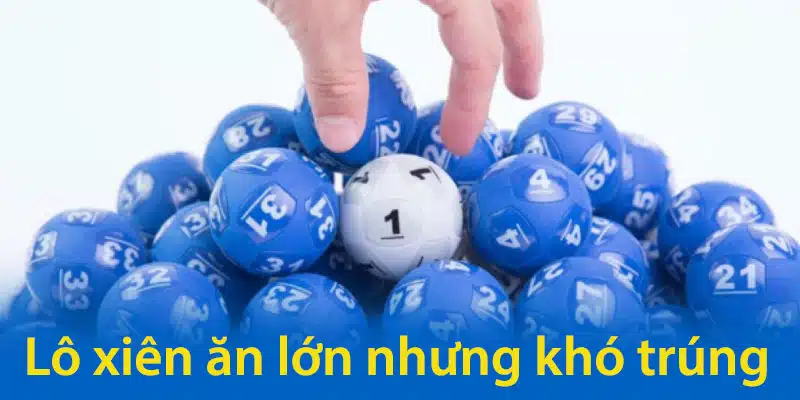 Lô xiên ăn lớn nhưng khó trúng